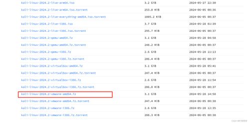 Kali Linux虛擬機(jī)配置流程及其在網(wǎng)絡(luò)與信息安全軟件開發(fā)中的應(yīng)用